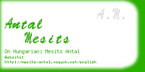 antal mesits business card